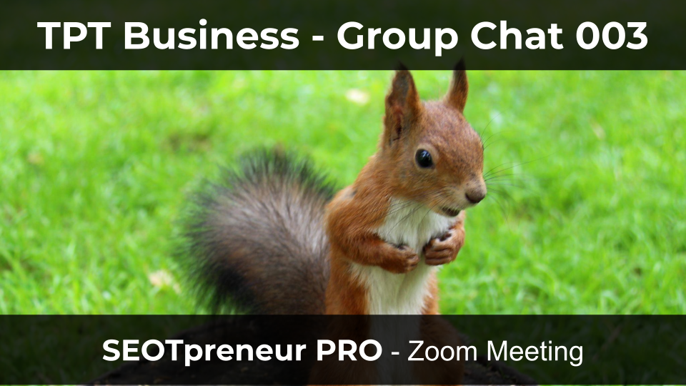 TPT Business - Group Chat 004. SEOTpreneur PRO Zoom Meeting