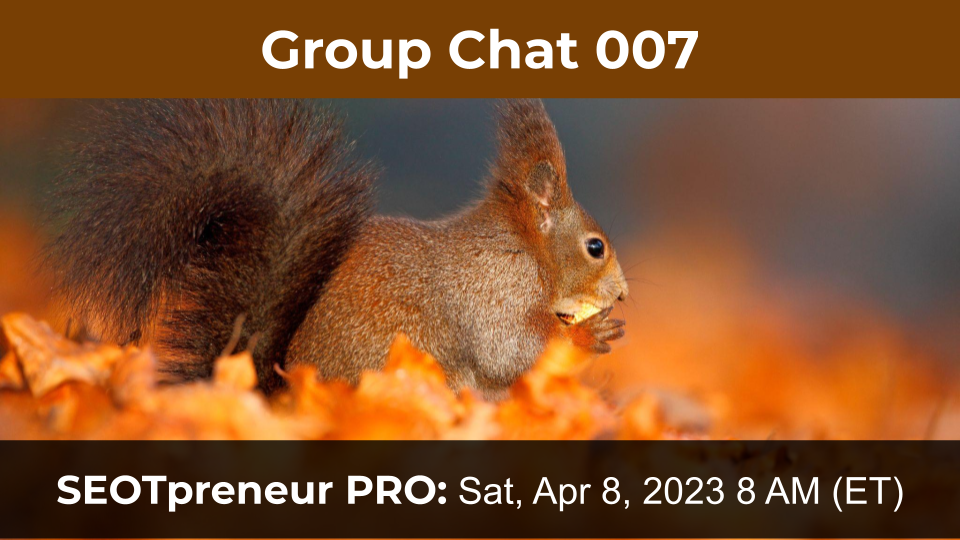 TPT Business - Group Chat 007. SEOTpreneur PRO Zoom Meeting