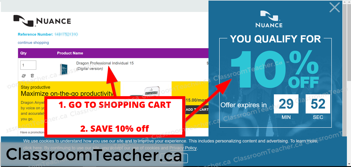 Screenshot of shopping cart showing a pop up discount sale of 10% off the entire shopping cart
